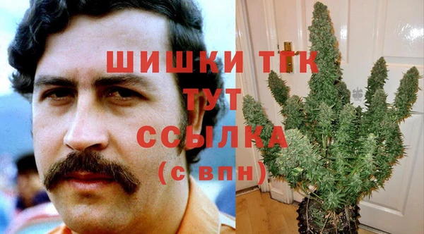 индика Бугульма